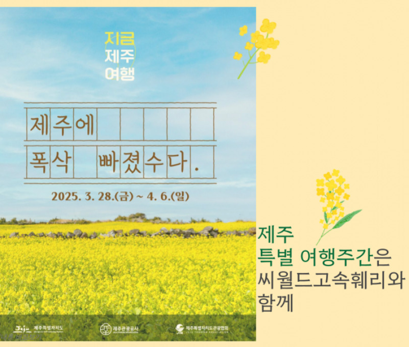 유채꽃이 만발한 들판을 배경으로 '지금 제주 여행', '제주에 폭삭 빠졌수다.', 2025년 3월 28일부터 4월 6일까지라는 문구와 함께, 오른쪽에는 유채꽃 그림과 '제주 특별 여행주간은 씨월드고속훼리와 함께'라는 안내가 적혀 있다.
