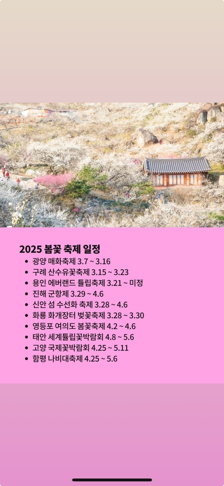 봄꽃이 만개한 산과 전통 한옥이 보이는 풍경 위에, 2025년 봄꽃 축제 일정(광양 매화축제, 구례 산수유꽃축제 등)이 분홍색 배경에 검은 글씨로 안내되어 있다.