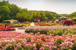 넓은 꽃밭에 다양한 색상의 꽃들이 만개해 있고, 중앙에는 분수가 있으며 주변에 나무와 숲이 우거져 있는 공원의 모습
