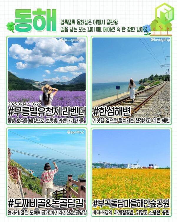 국내 여행지 추천: 계절과 테마별로 만나는 최고의 자연 경관과 가족 여행지 5 동해 여행지를 소개하는 카드 이미지. 무릉별유천지 라벤더, 한섬 해변, 도째비골&논골담길, 부곡돌담마을 해안숲공원 등 네 곳의 관광 명소와 풍경 사진이 각각 배치되어 있다.
