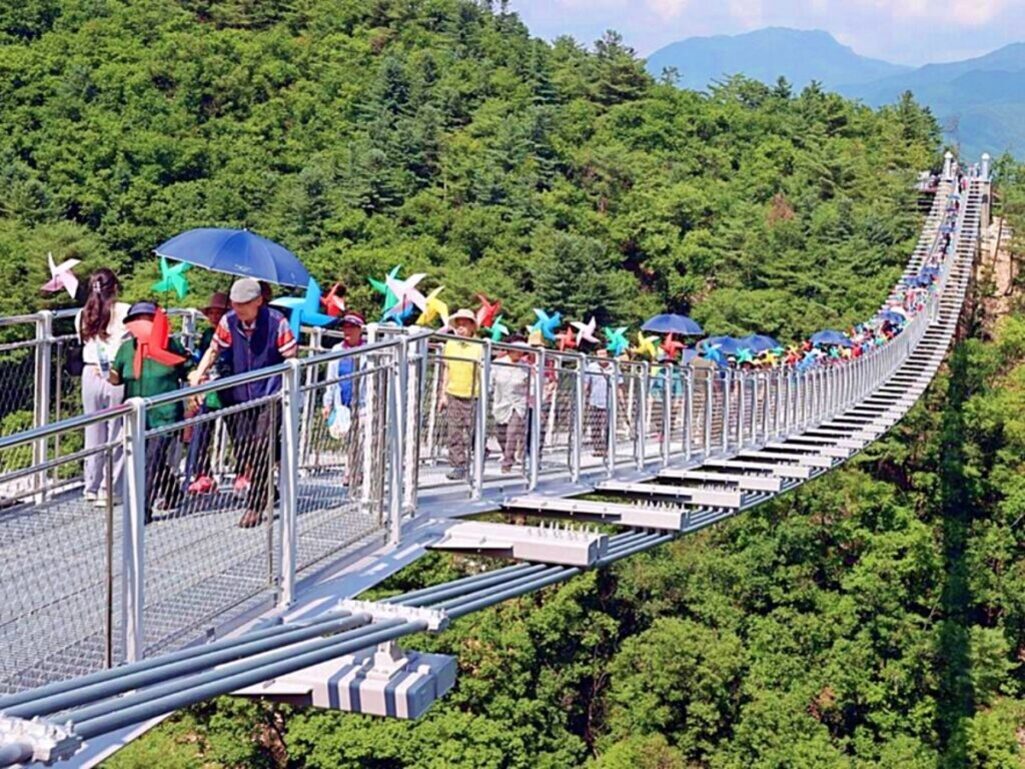 로컬 여행지 숨은 명소 추천: 서울 근교부터 지방 소도시까지 특별한 자연명소 탐방법 9 숲 위에 설치된 긴 현수교를 많은 사람들이 걷고 있으며, 일부 사람들은 파란 우산을 쓰고 있고 바람개비를 들고 있다.