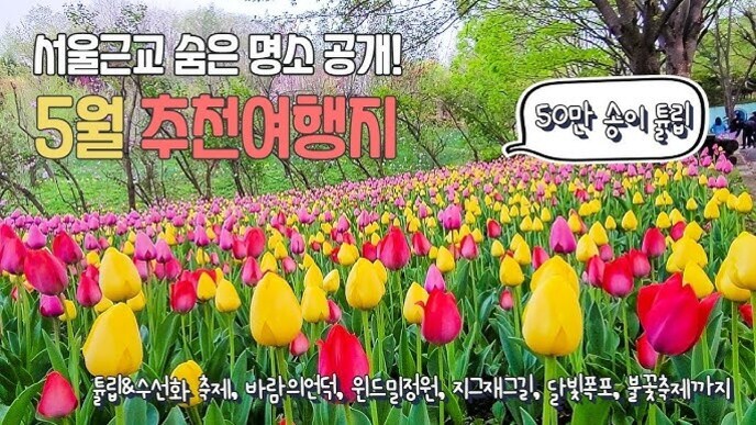 로컬 여행지 숨은 명소 추천: 서울 근교부터 지방 소도시까지 특별한 자연명소 탐방법 7 형형색색의 튤립이 가득 핀 정원의 사진 위에 '서울근교 숨은 명소 공개! 5월 추천여행지'라는 문구와 함께 다양한 여행 정보가 한글로 적혀 있다.