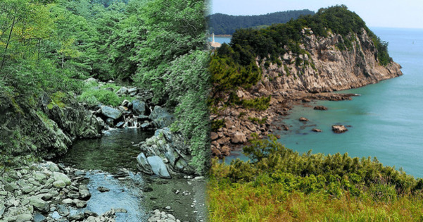 왼쪽에는 숲과 계곡이 있고, 오른쪽에는 바다가 보이는 해안 절벽 풍경이 있다.