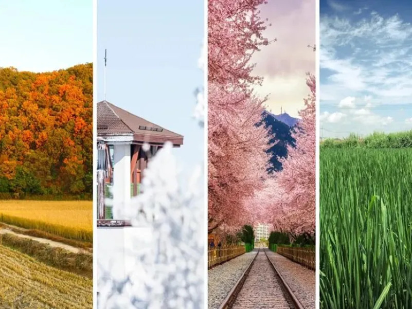 네 개의 다른 계절을 상징하는 풍경이 나란히 배열된 이미지로, 왼쪽부터 가을 단풍 숲과 논밭, 겨울 눈 덮인 건물, 봄 벚꽃길과 철도, 여름 푸른 들판이 보인다.