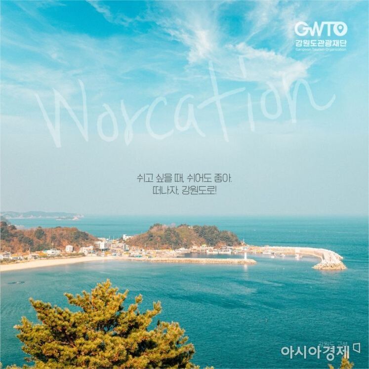 푸른 하늘과 바다가 어우러진 강원도 해안 풍경, 앞에는 소나무가 있고 멀리 작은 마을과 방파제가 보임. '쉬고 싶을 때, 쉬어도 좋아. 떠나자, 강원도로!'라는 문구와 함께 GWTO(강원도관광재단) 로고가 있음.